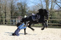 /album/galerie-de-photos-page-daccueil/dark-chute-laterale-5-jpeg/